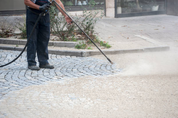 Best Gutter Cleaning  in La Grange, NC